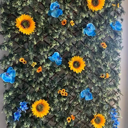 Madeira Sea Sunshine With Heated Pool Апартаменты Рибейра-Брава